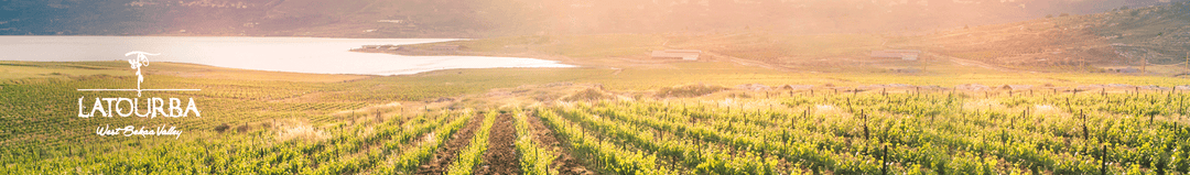 Lebanese Wines