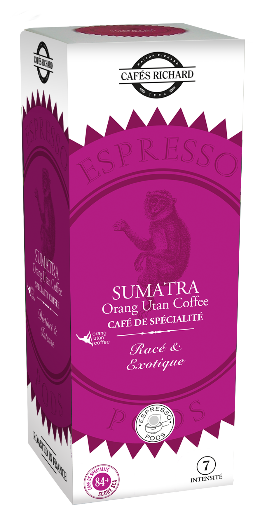 Cafes Richard Espresso Pods Sumatra Mandheling (Carton* 25 Pods)