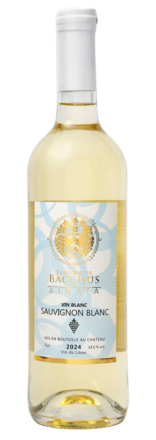 Terroir De Bacchus, Sauvignon Blanc 2022